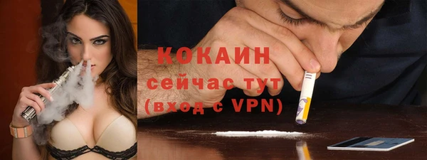 прущие грибы Белоозёрский