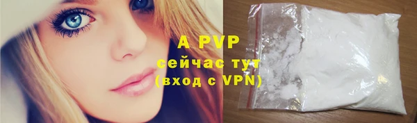 прущие грибы Белоозёрский