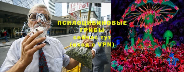 прущие грибы Белоозёрский