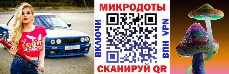 Псилоцибиновые грибы мицелий  Красный Кут 