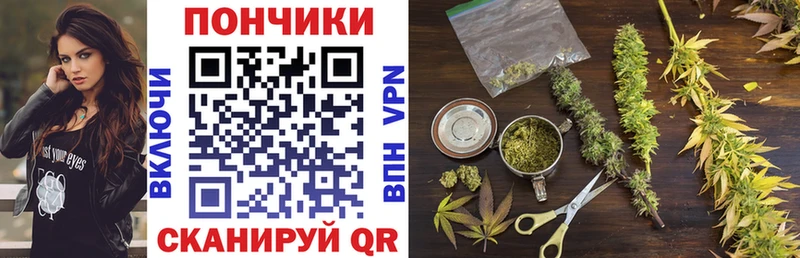 купить закладку Красный Кут Бошки Шишки LSD WEED